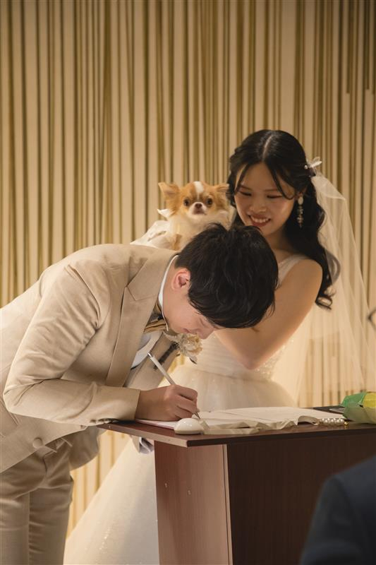 ペットと一緒に挙式?✨